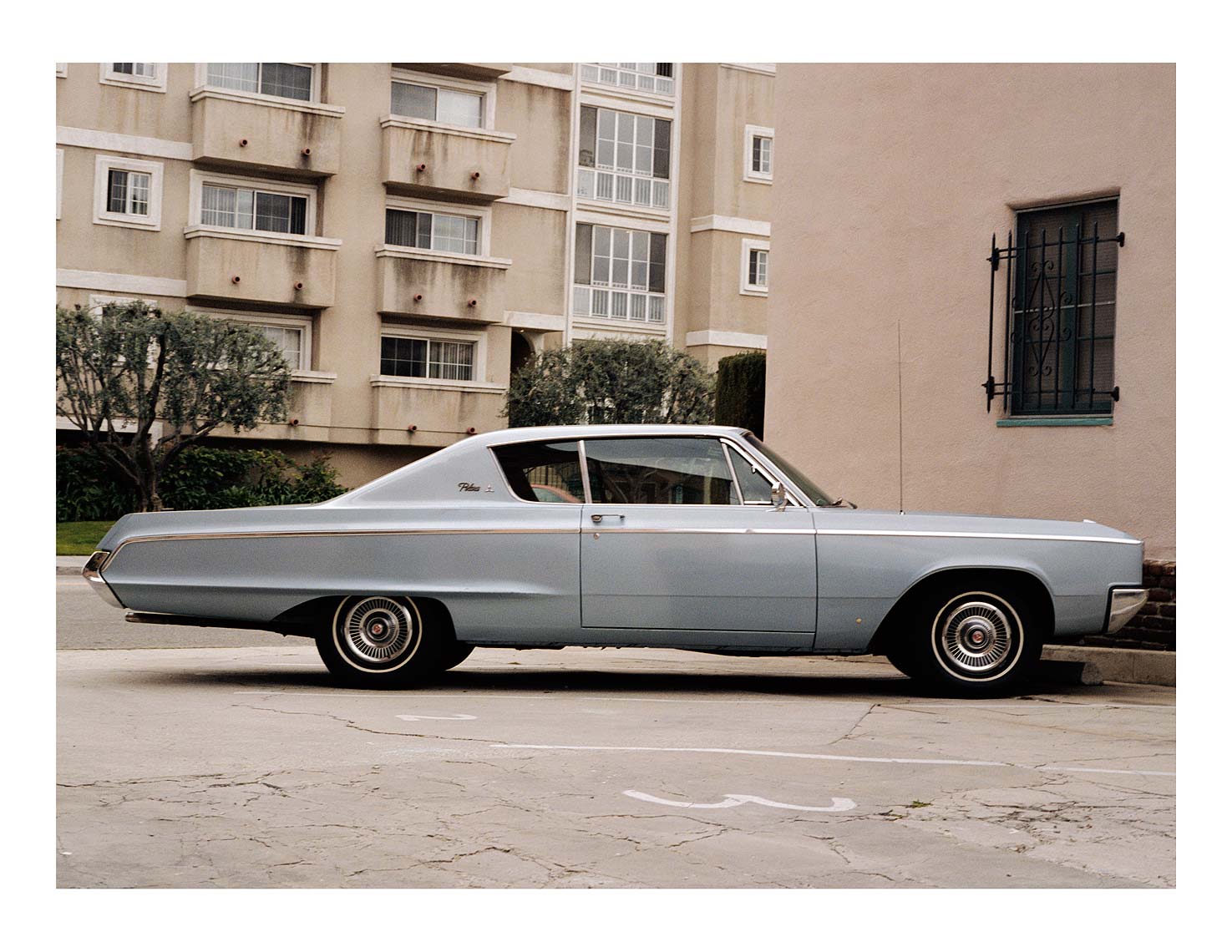 P.07Polara.jpg